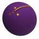 Kendama profesionala, Bila din lemn + Sticker pentru telefon, 124KD