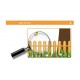 Sticker decorativ, Colivii cu pasari si fluturi, 85 cm, 752STK