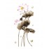 Sticker decorativ, Flori, 112 cm, 751STK