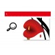 Sticker decorativ, Flori Anthurium rosii, 147 cm, 742STK