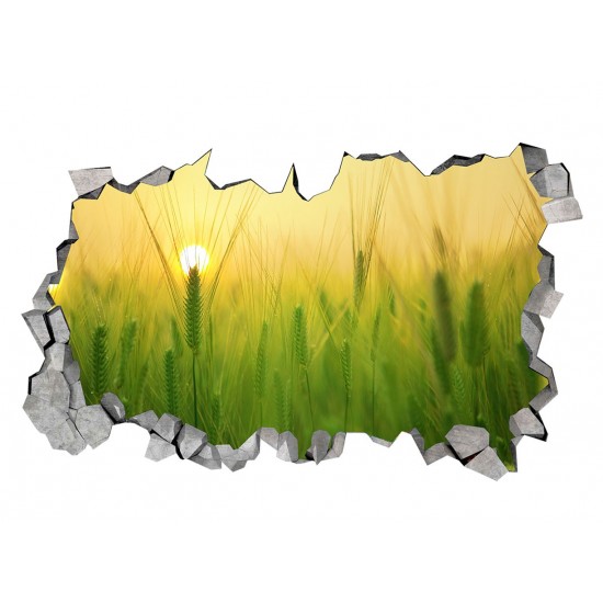 Sticker decorativ, gaura in perete 3D, Rasarit, 85 cm, 169STK-1 Sticker decorativ, gaura in perete 3D, Rasarit, 85 cm, 169STK-1