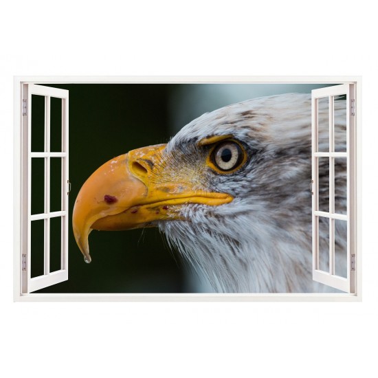 Sticker decorativ, Fereastra 3D, Vultur, 85 cm, 274STK