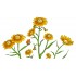 Sticker decorativ, Musatel, 150 cm, 398STK-1