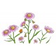 Sticker decorativ, Musatel, 150 cm, 398STK-2