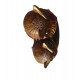 Statueta decorativa, Bufnite, Multicolor, 17 cm, XD4022A