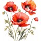 Sticker decorativ, Buchet de Flori Maci, Rosu, 67 cm, 1350STK