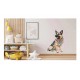 Sticker decorativ, Caine German Shepherd, Negru, 85 cm, 1203STK-2 Sticker decorativ, Caine German Shepherd, Negru, 85 cm, 1203STK-2