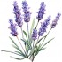 Sticker decorativ, Lavanda, Mov, 61 cm, 1339STK-8