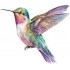 Sticker decorativ, Pasarea Colibri, Multicolor, 70 cm, 1271STK-1